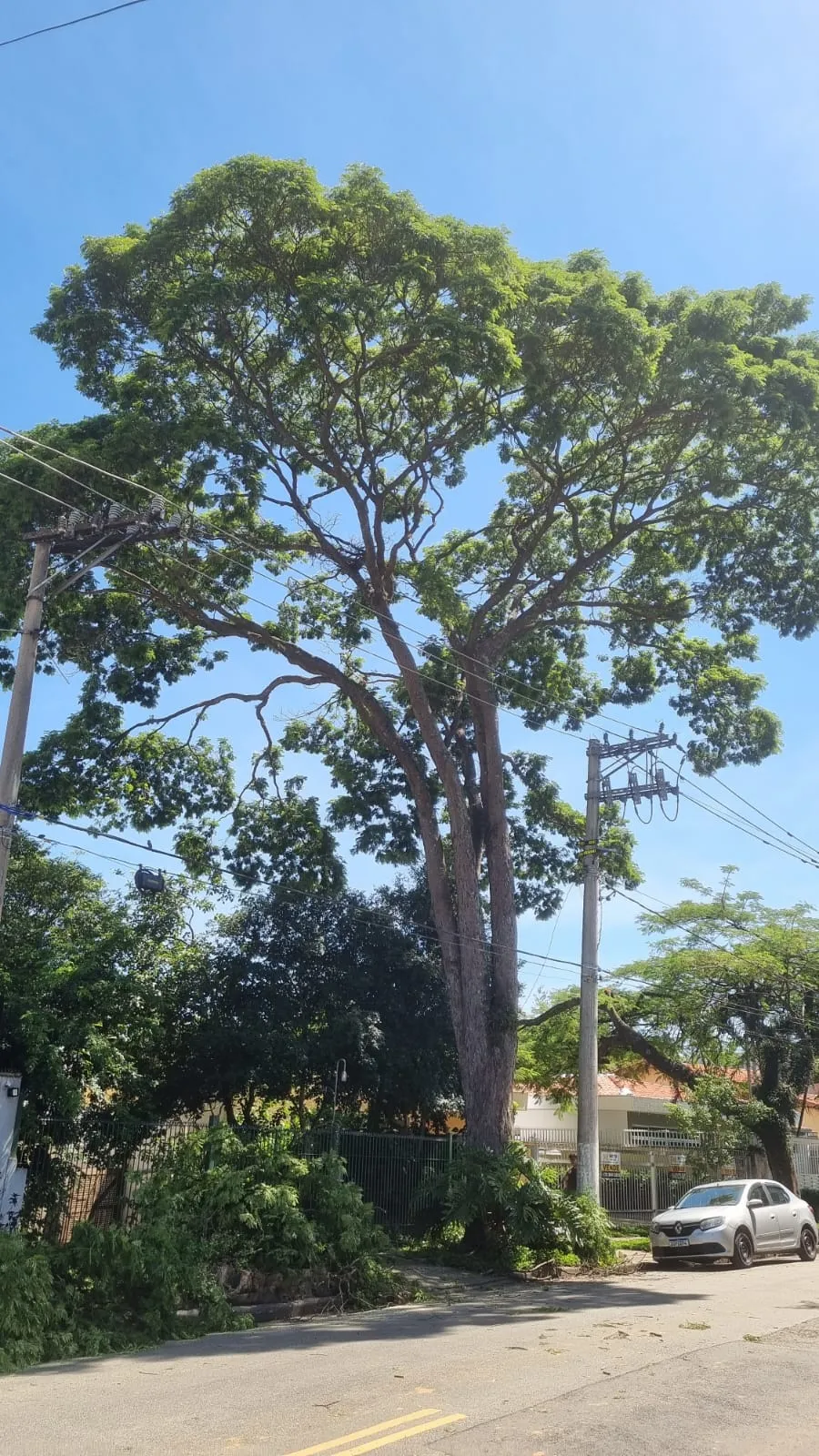 Galeria