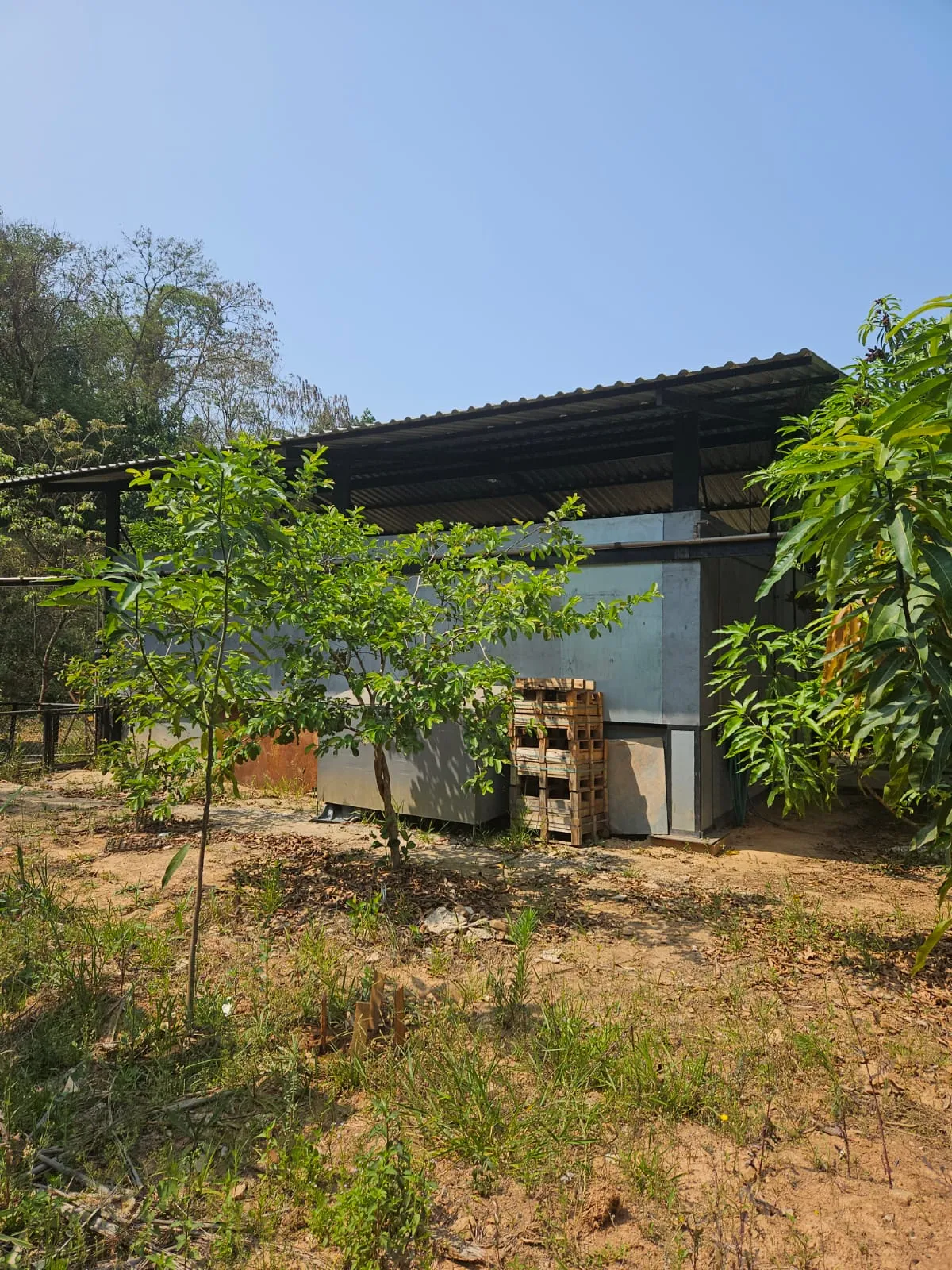 Galeria