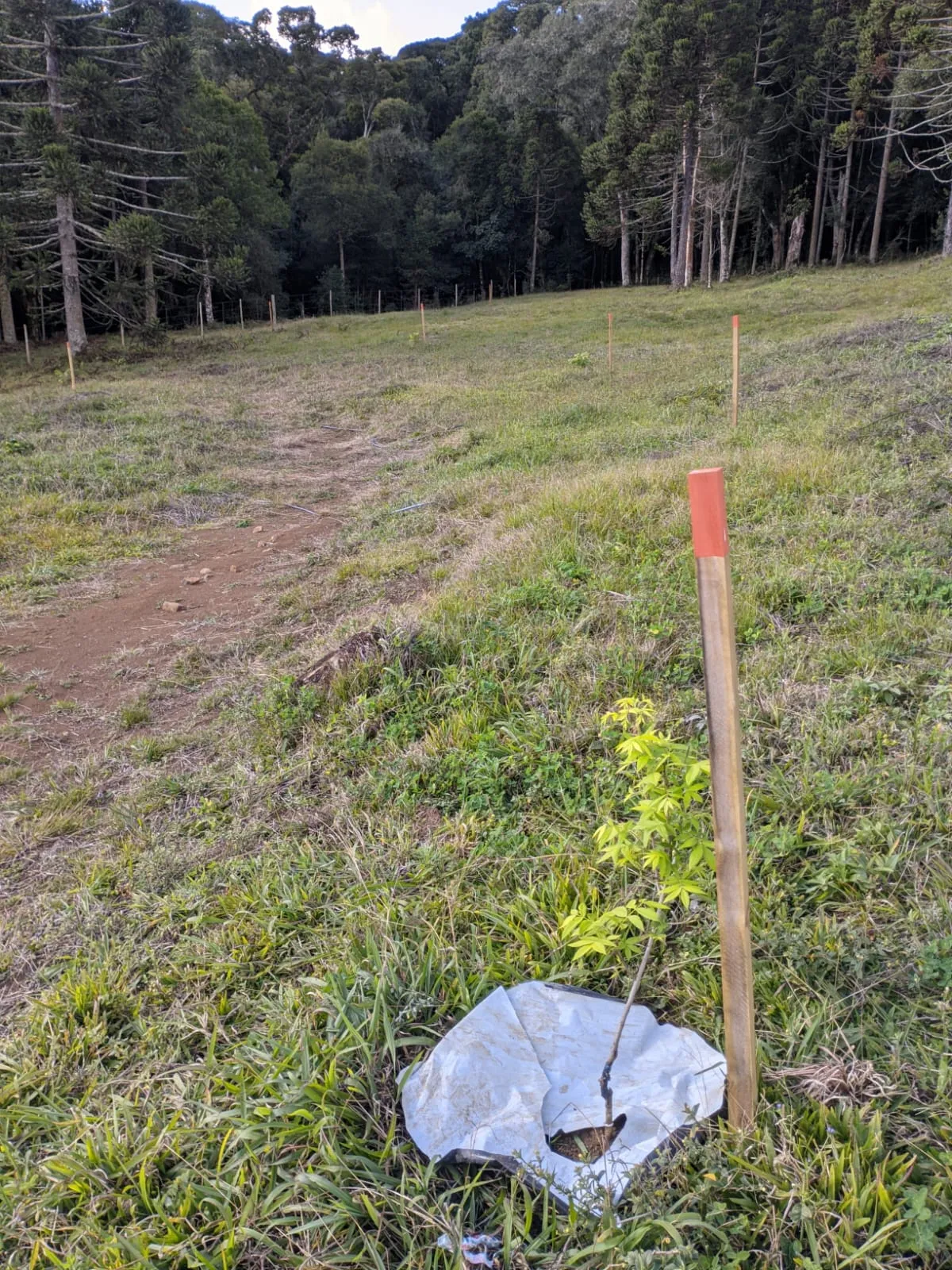 Assessoria ambiental rural