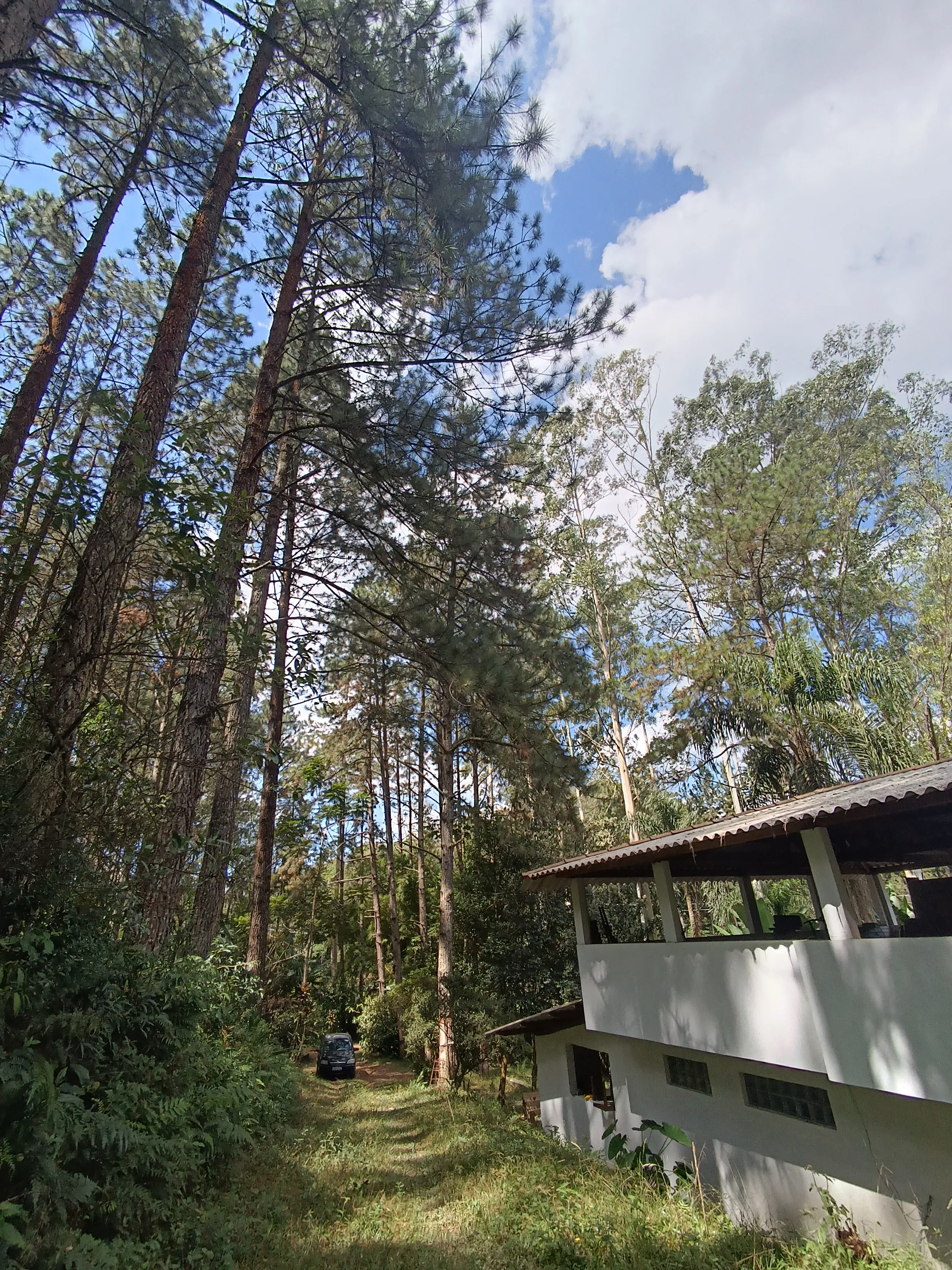 Estudo de impacto ambiental