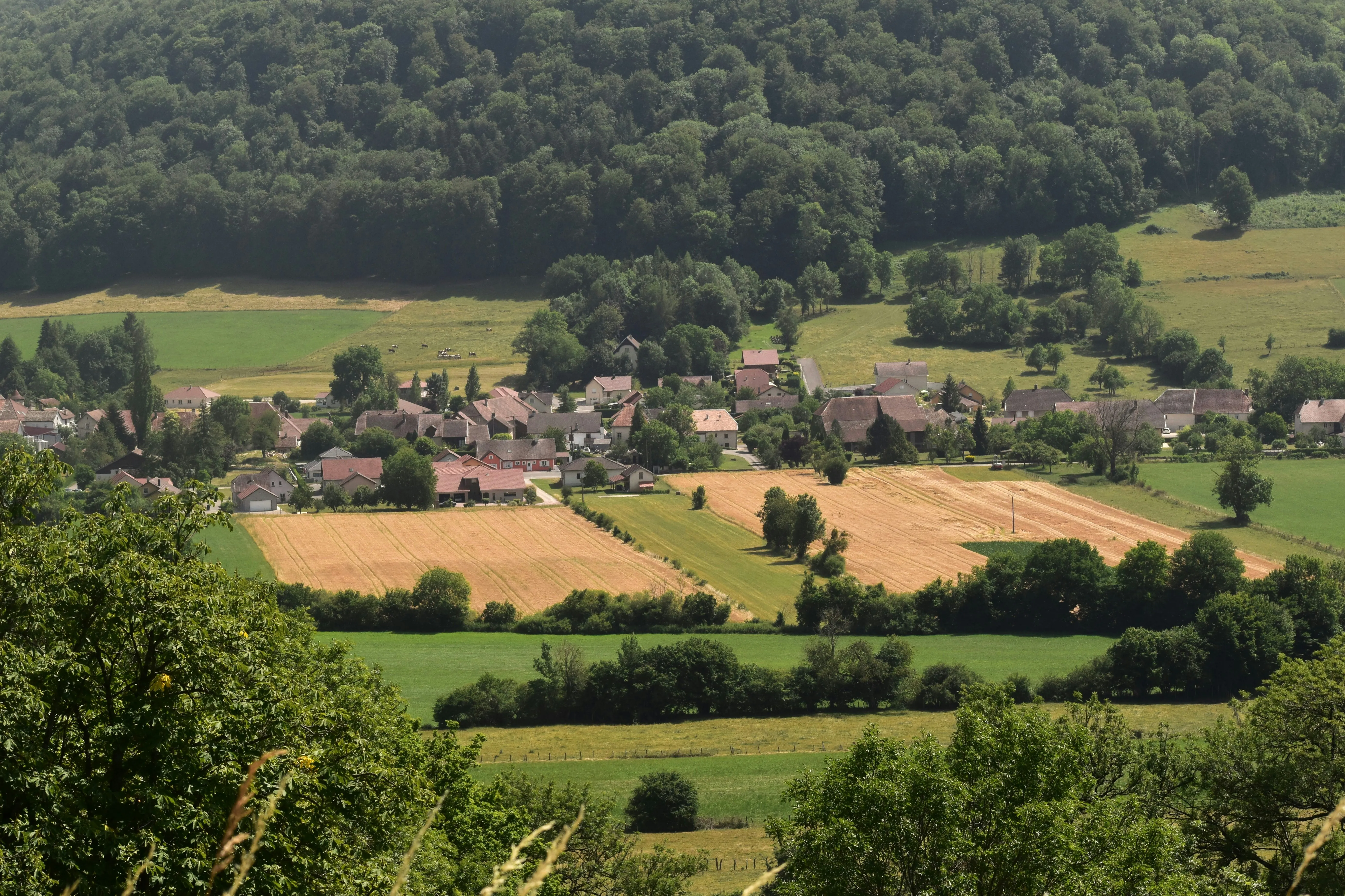 Imposto Territorial Rural (ITR)